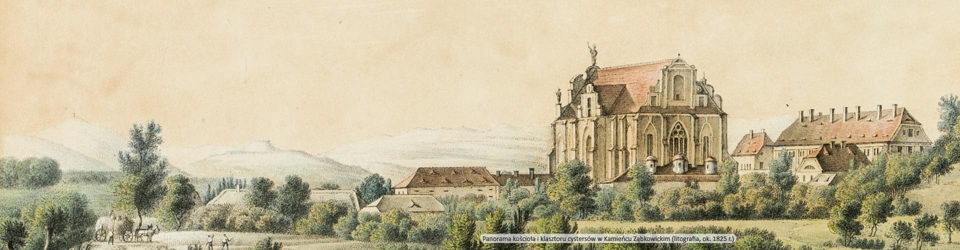 Search background image